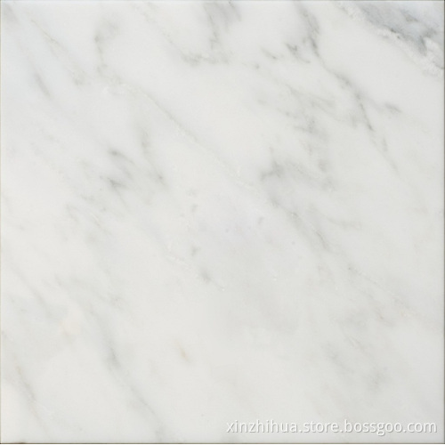 Eastern White